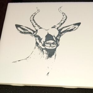 Antelope Sketch Coaster